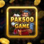 PAK500 Game